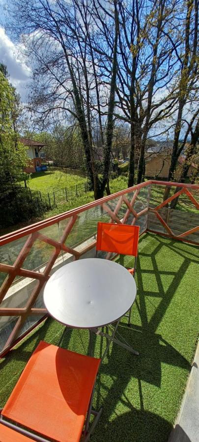 Le Petit Park-Studio-Terrasse- Piscine-Wifi Fibre Lägenhet Pau Exteriör bild